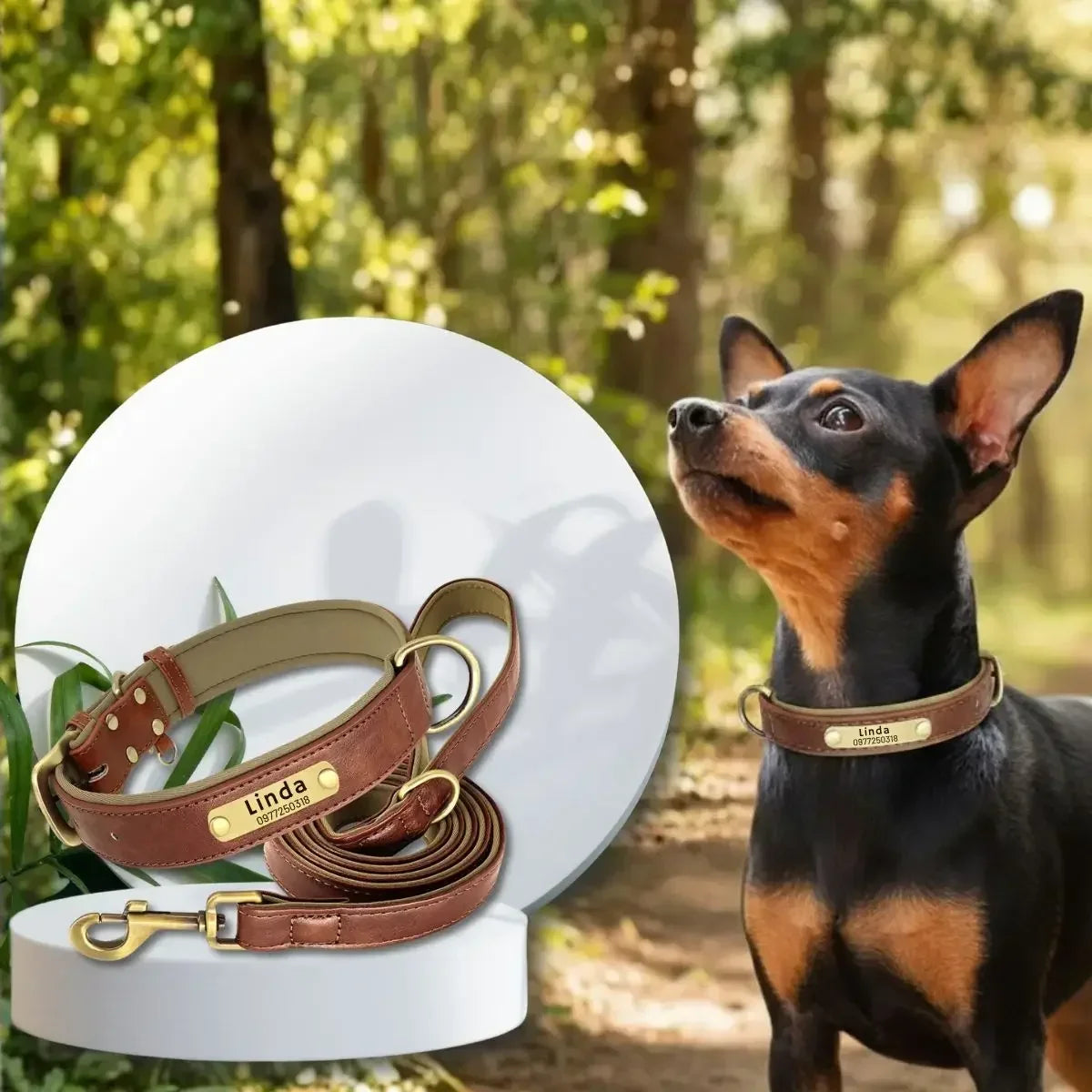 Duo collier pour chien personnalisé et laisse assortie Veïla™ marron avec petit chien