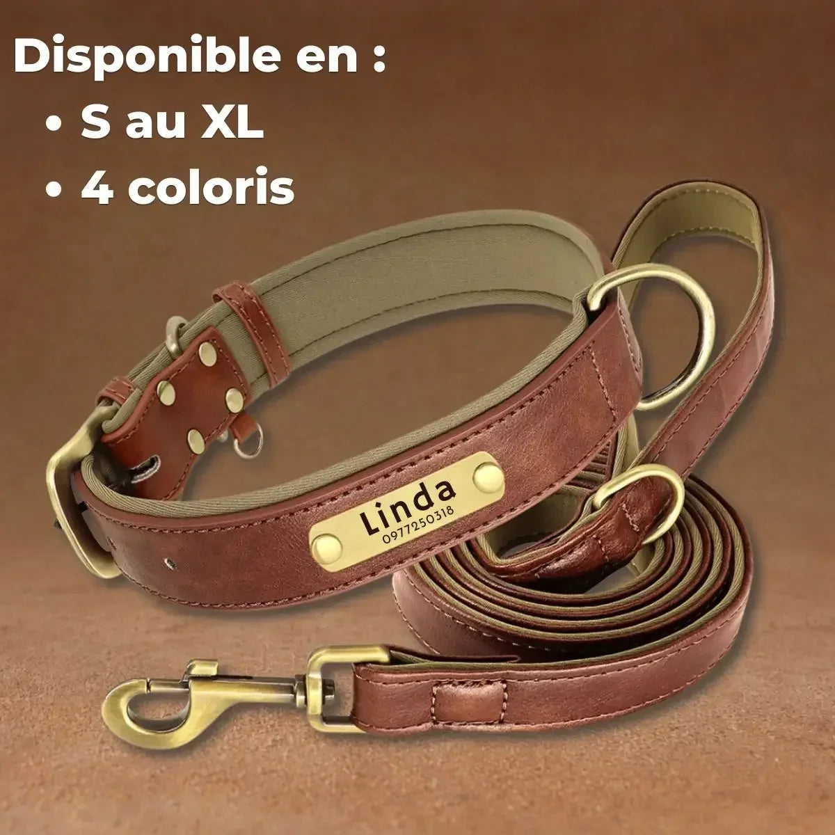 Ensemble collier et laisse pour chien Veïla™ disponible du S au XL en quatre coloris