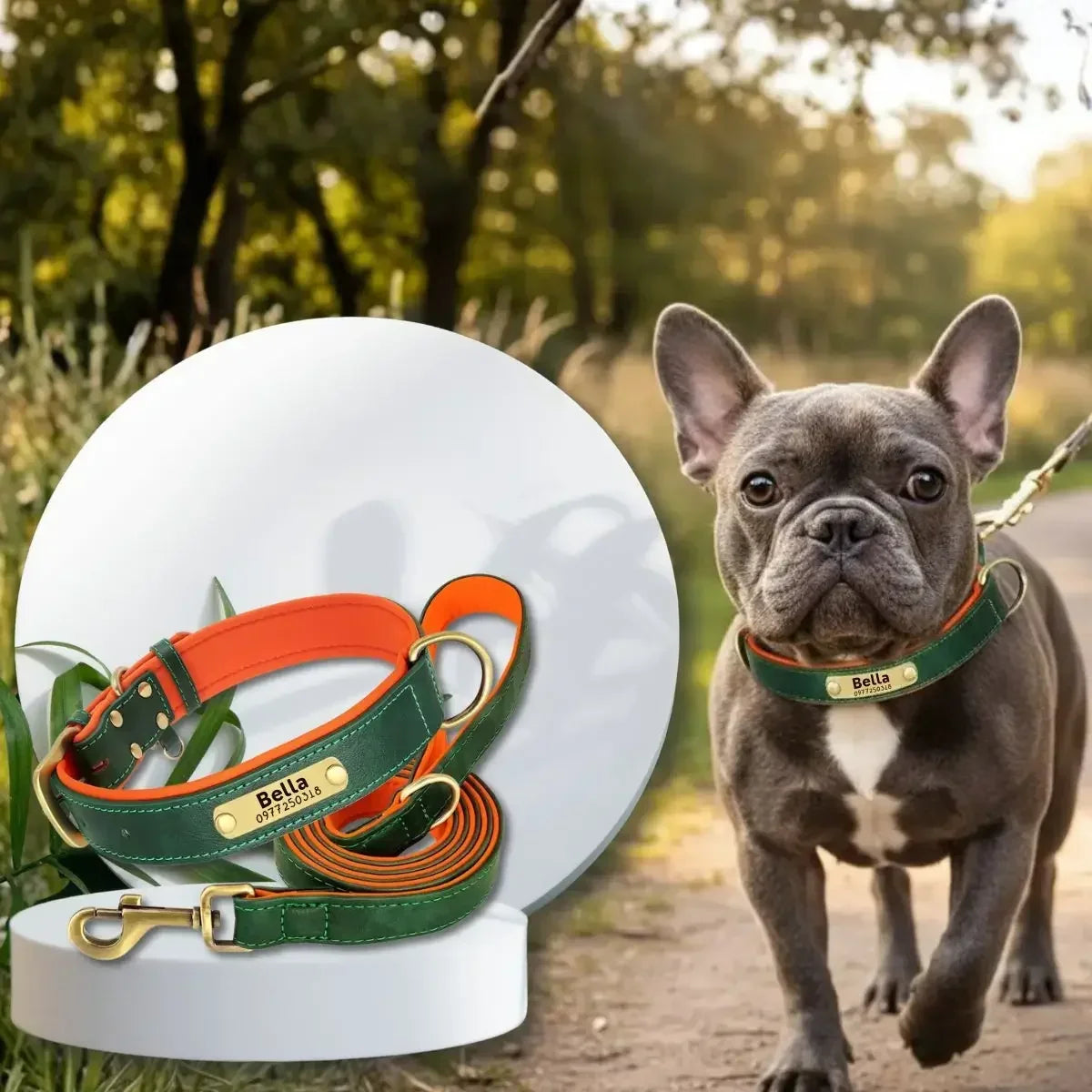 Duo collier pour chien personnalisé et laisse assortie vert porté par un bouledogue français