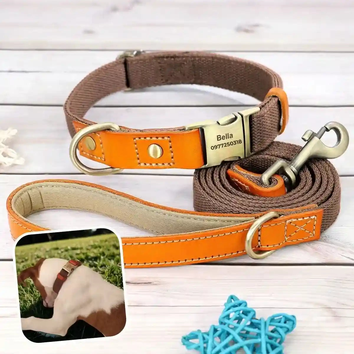 collier pour chien personnalisé marron