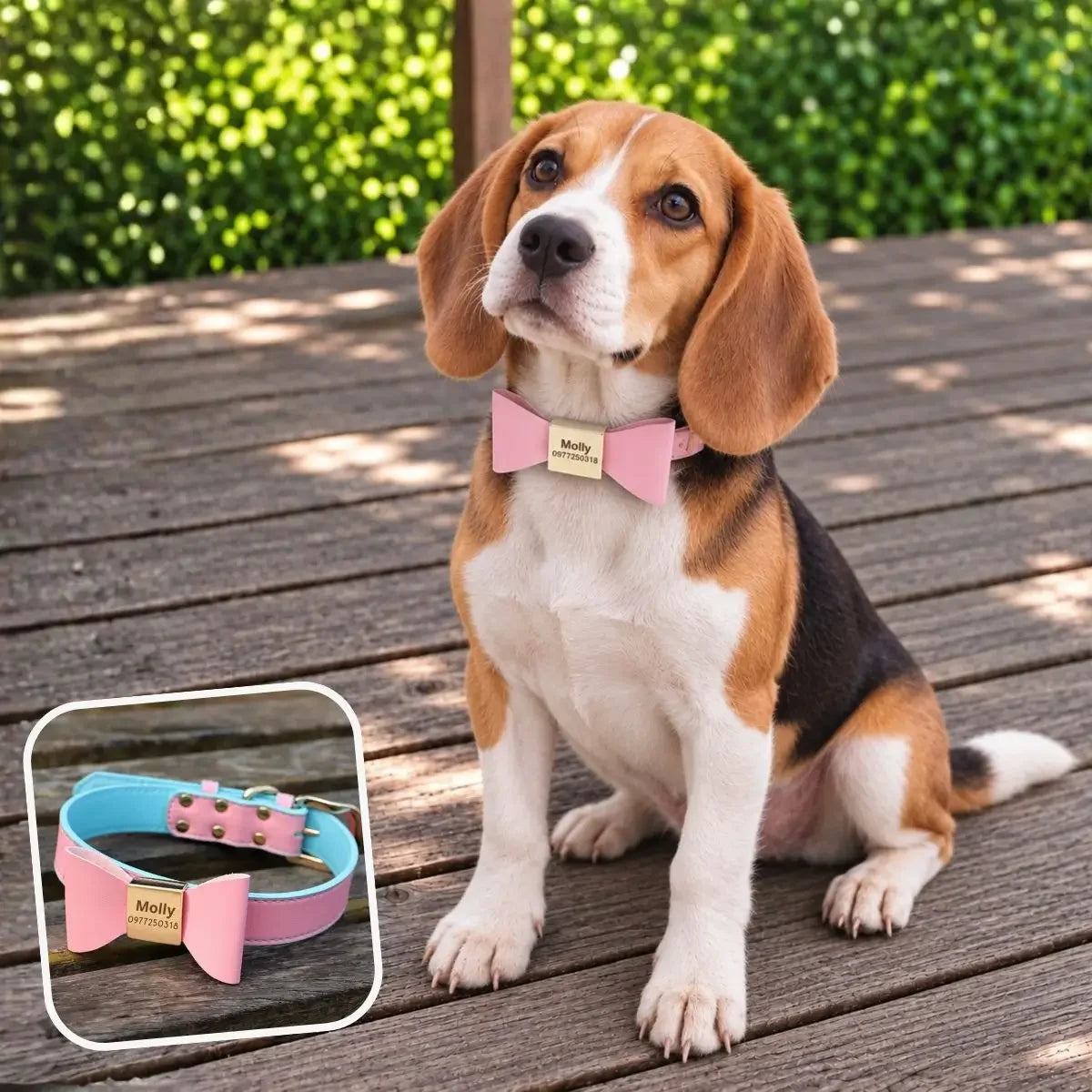 Collier pour chien personnalisé rose avec nœud papillon sur un Beagle