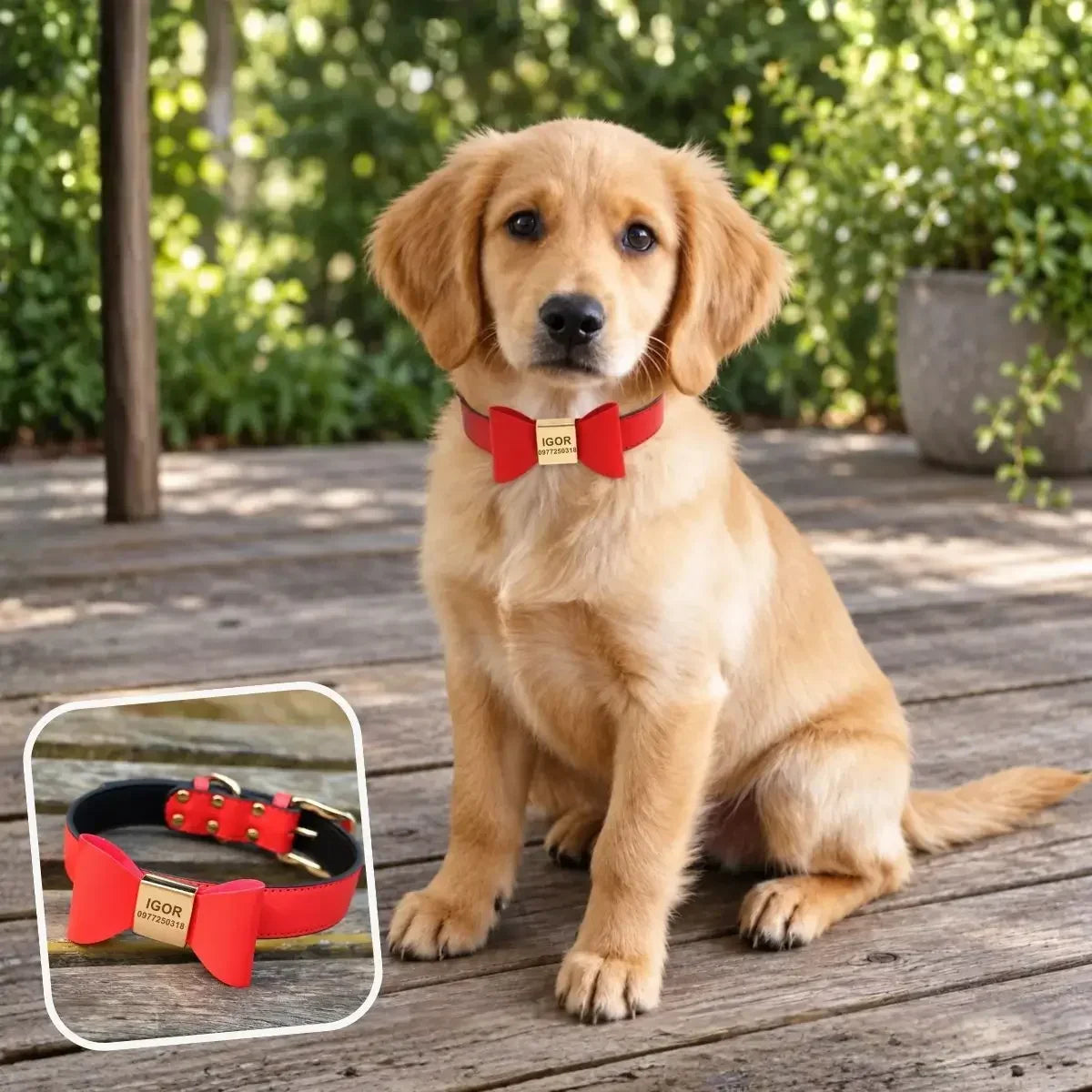Collier pour chien personnalisé avec nœud papillon rouge et plaque gravée