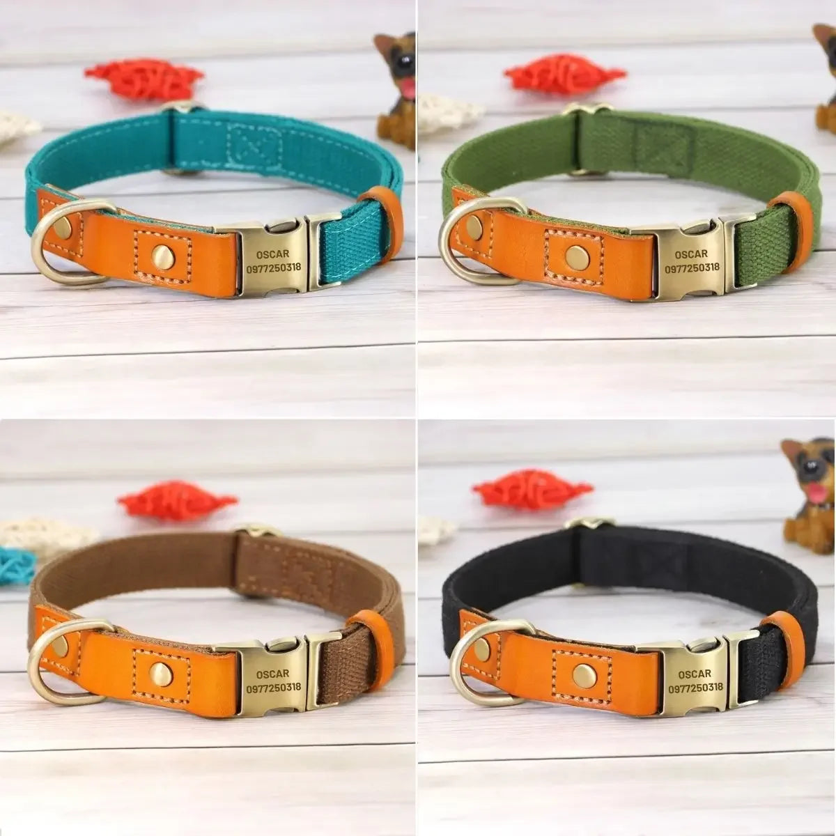 Collier pour chien personnalisé Stylish disponible en 4 couleurs