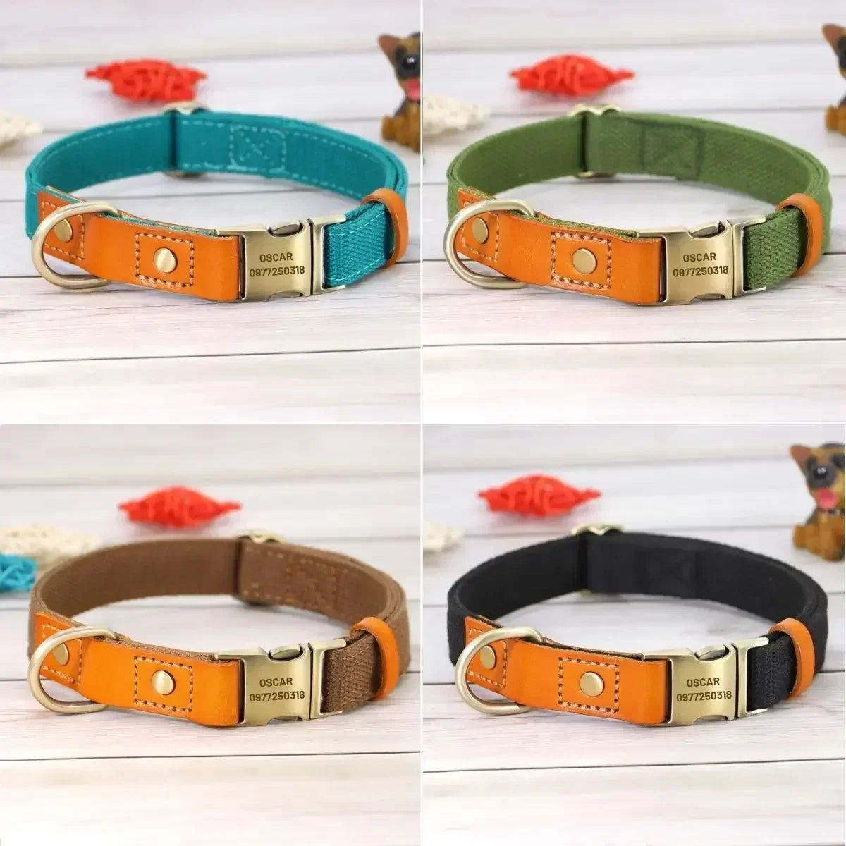 Collier pour chien personnalisé Stylish disponible en 4 couleurs