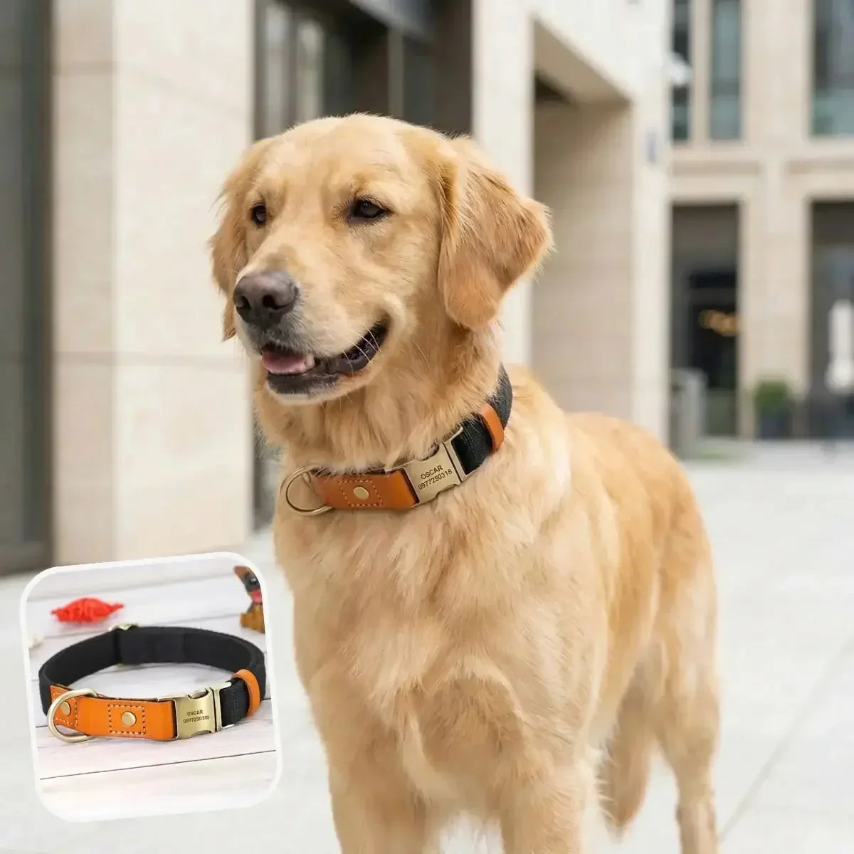 Collier pour chien personnalisé Stylish noir