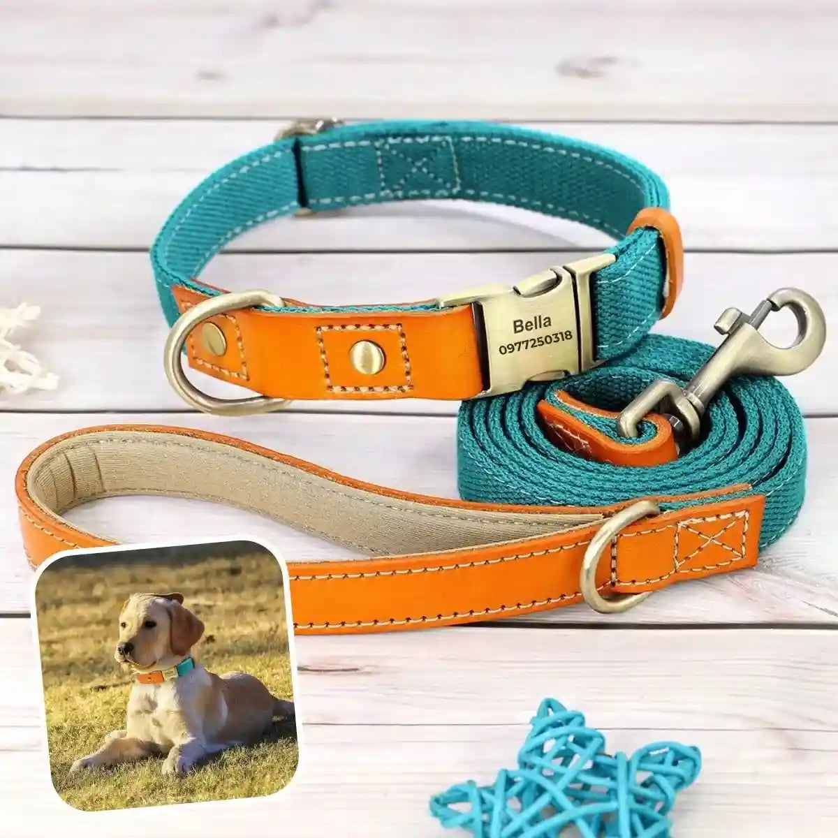 collier pour chien personnalisé turquoise