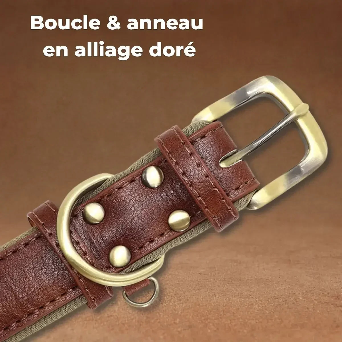 Gros plan sur la boucle et l'anneau en alliage doré du collier pour chien personnalisé Veïla™.