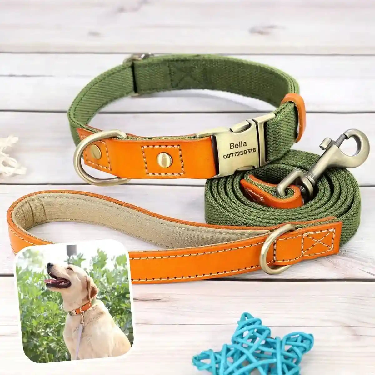 collier pour chien personnalisé vert