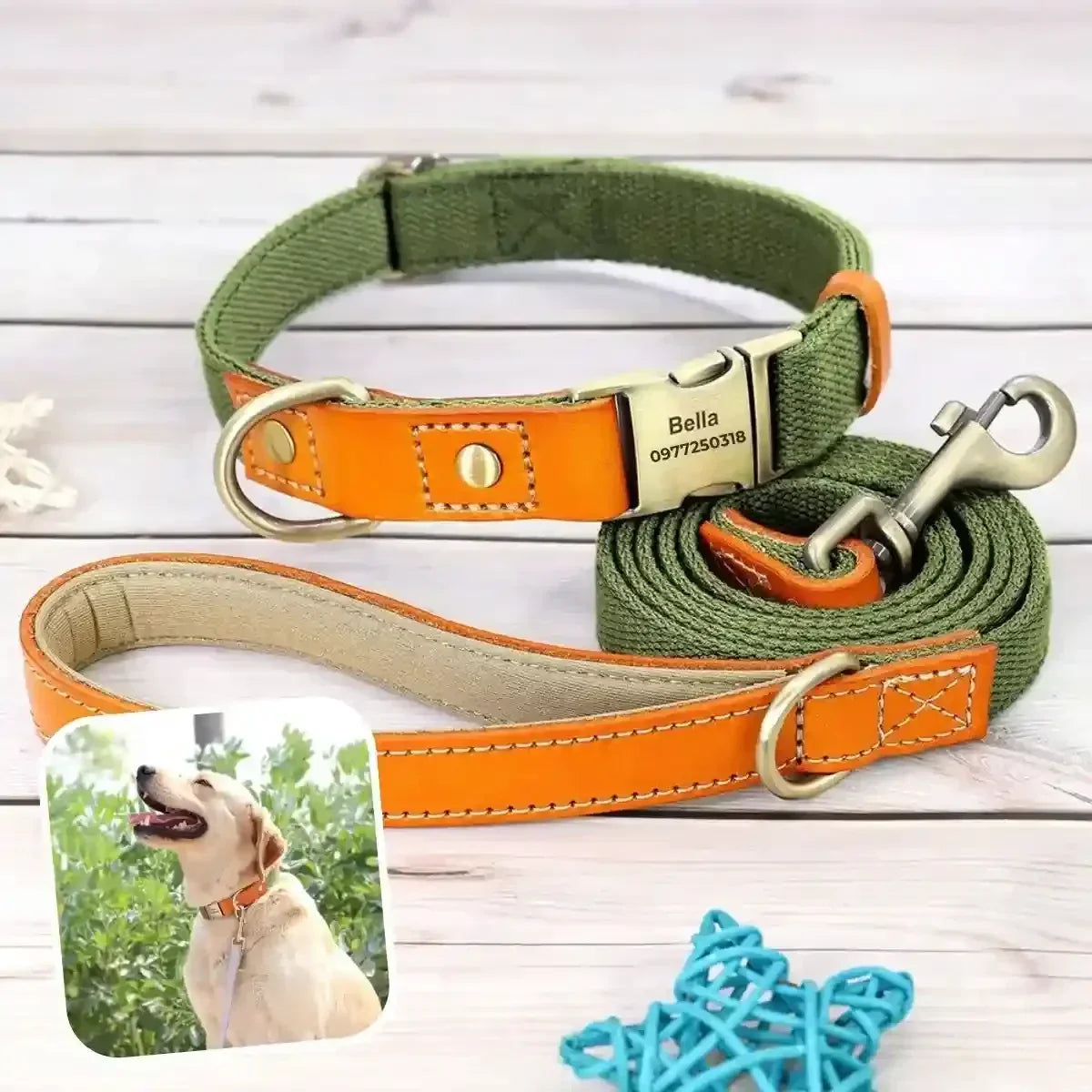 collier pour chien personnalisé vert