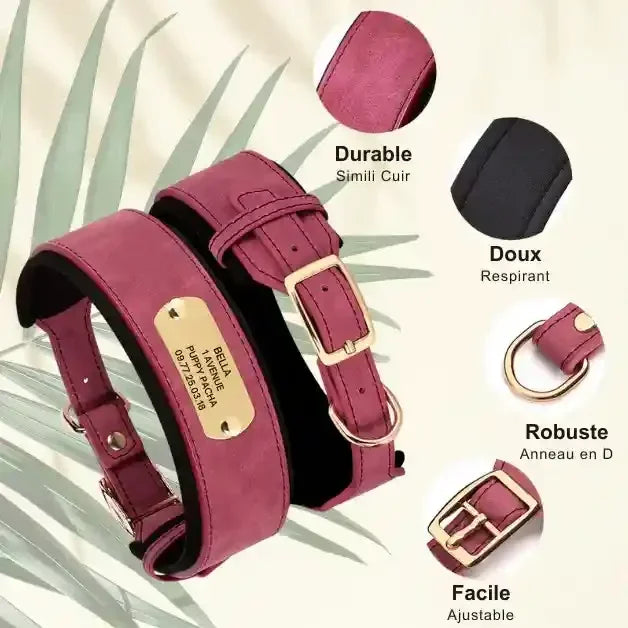 collier-pour-gros-chien-personnalisé-durable