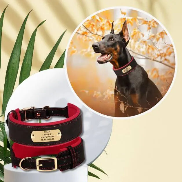 collier-pour-gros-chien-personnalisé-noir