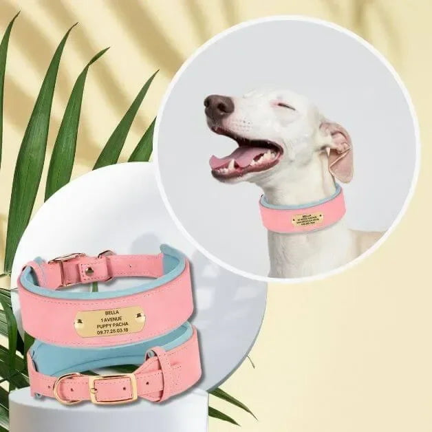 collier-pour-gros-chien-personnalisé-rose