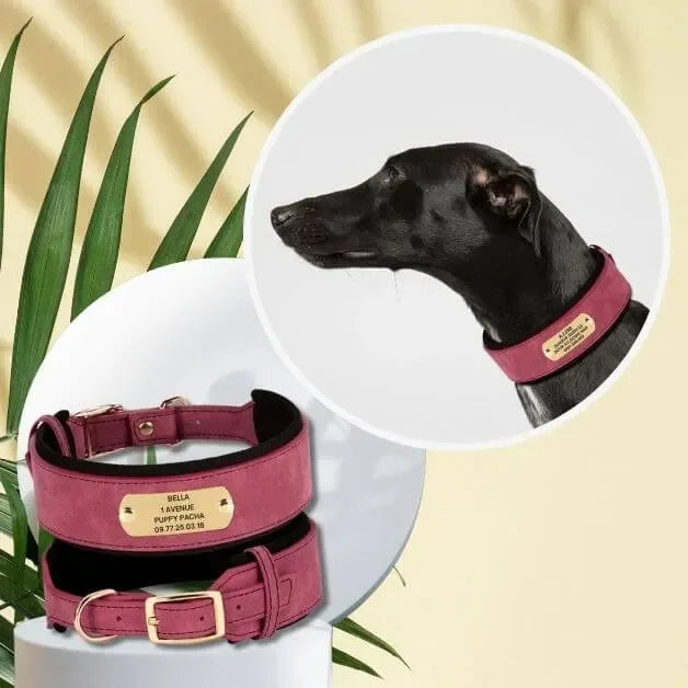 collier-pour-gros-chien-personnalisé-rouge