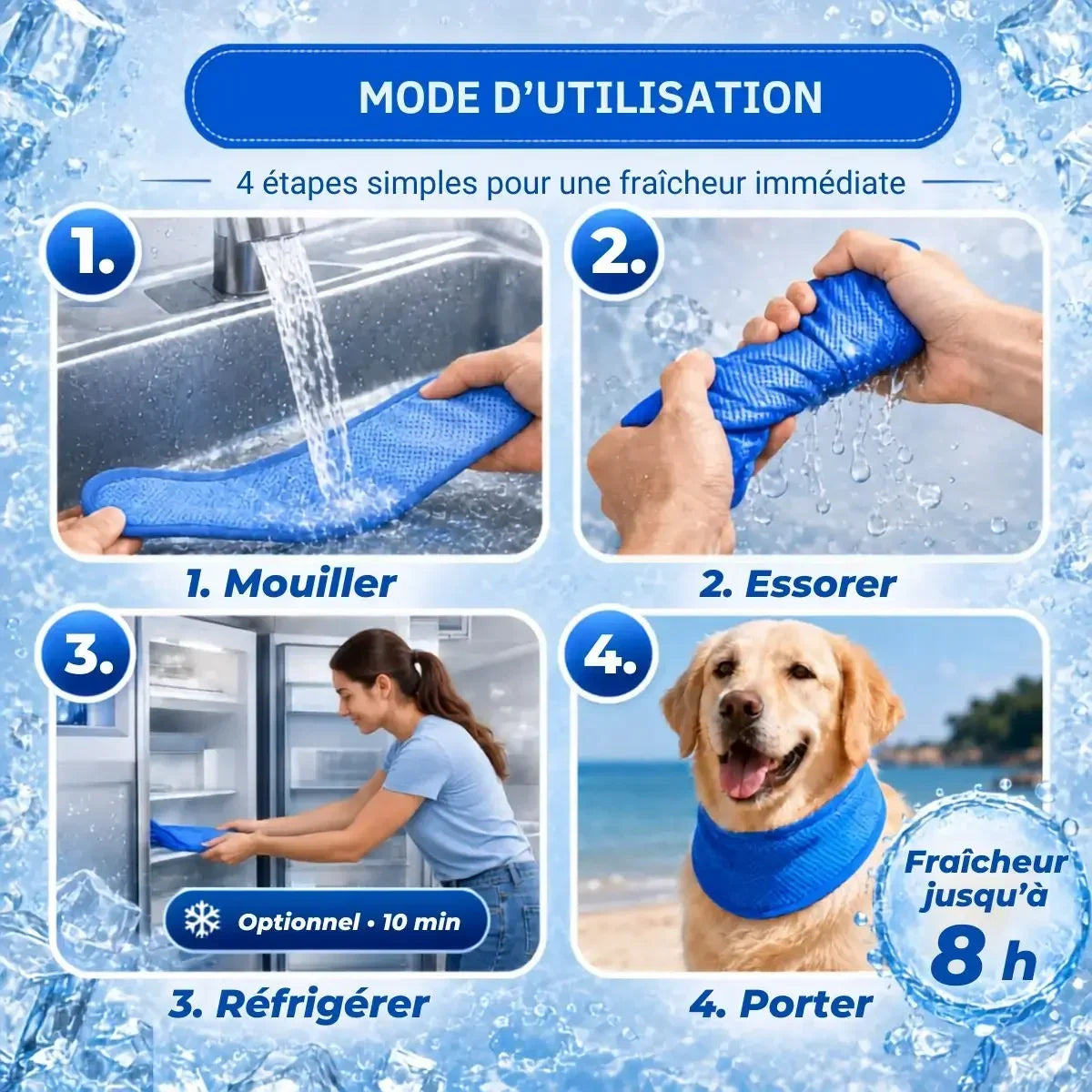 Mode d’utilisation du collier rafraichissant pour chien : mouiller, essorer, réfrigérer et ajuster