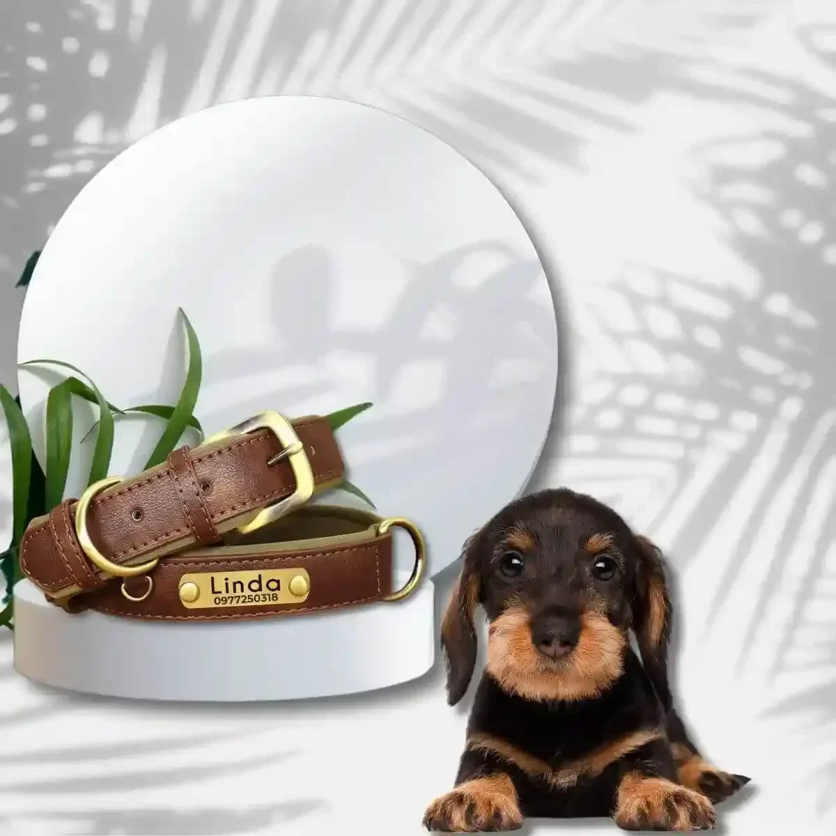 colliers personnalisés pour chiens avec chiot