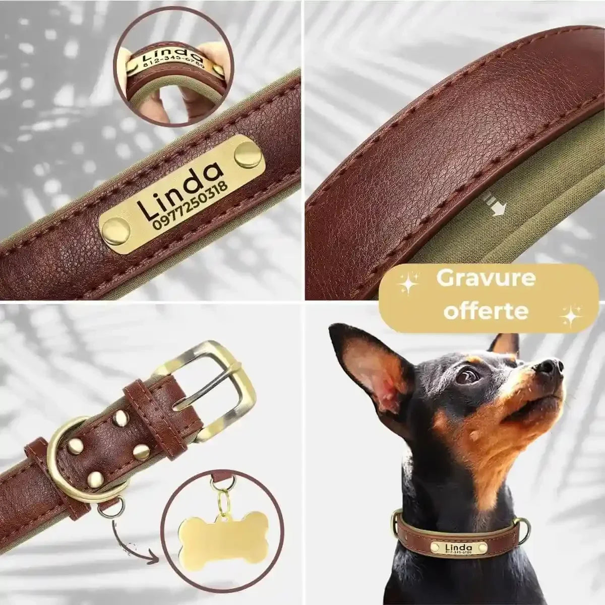 colliers personnalisés pour chien avec gravure