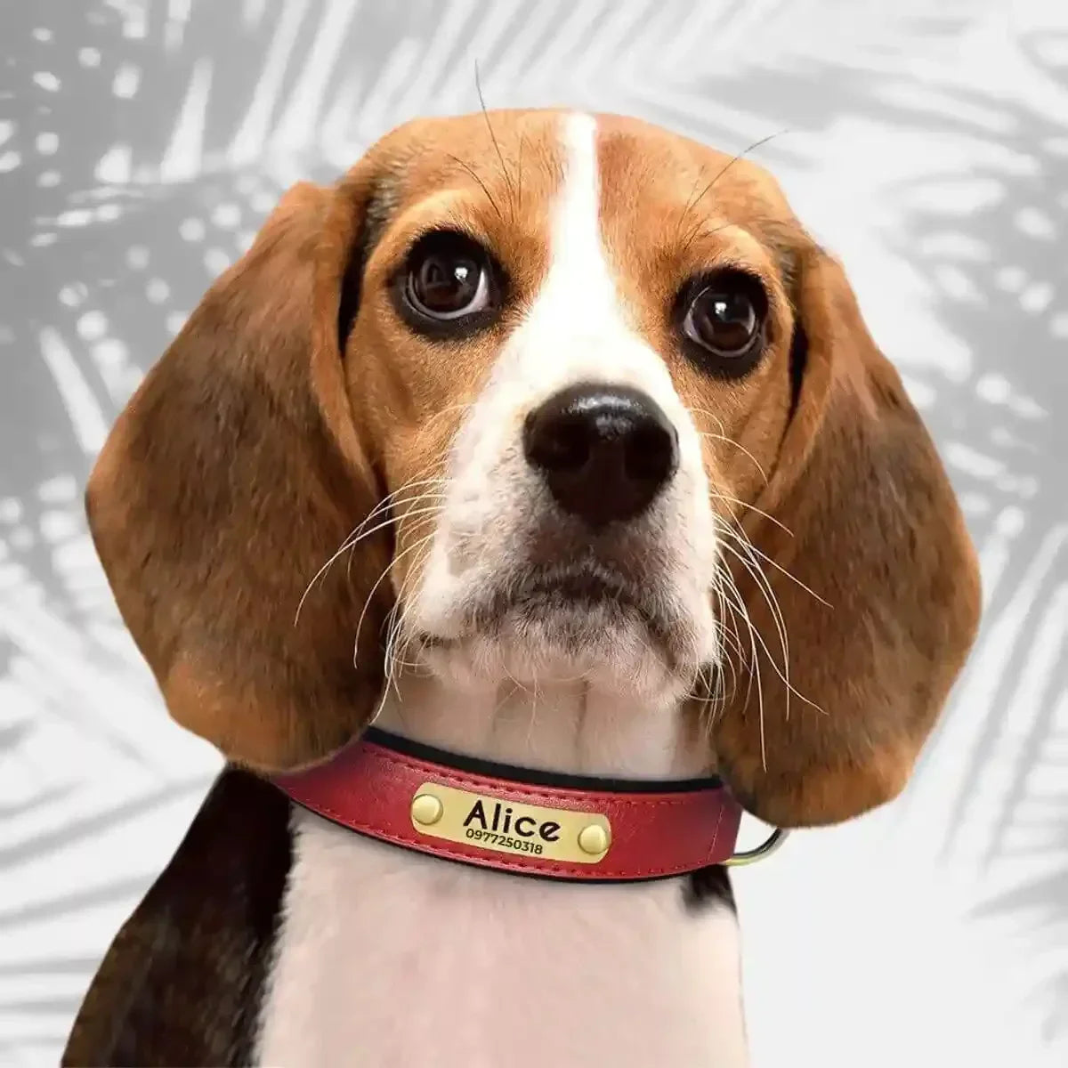 colliers personnalisés pour chiens rouge