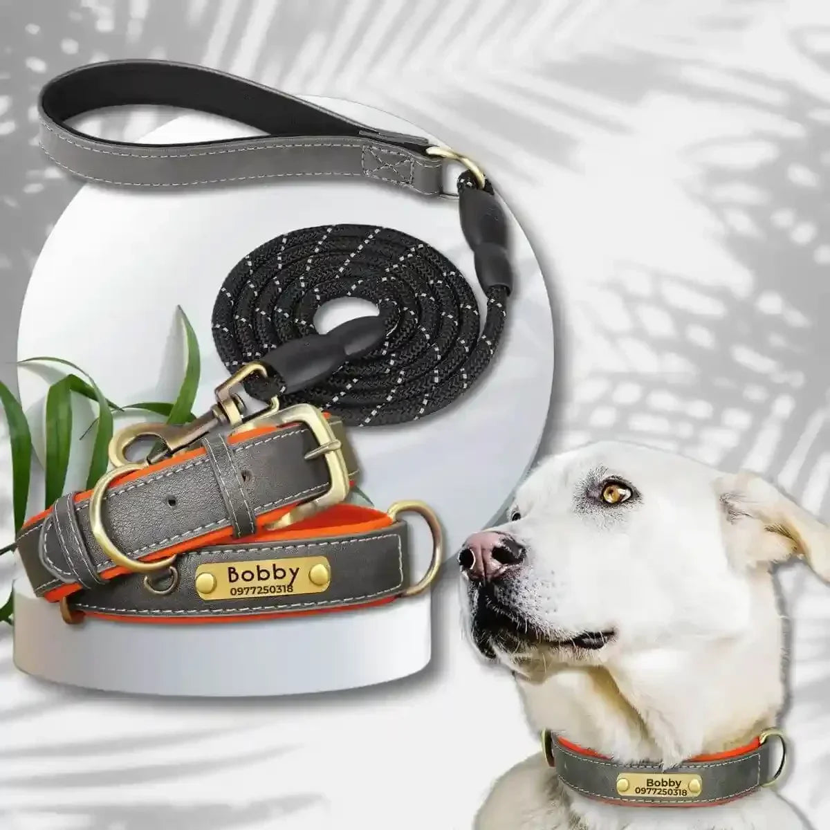 colliers pour chiens personnalisés gris