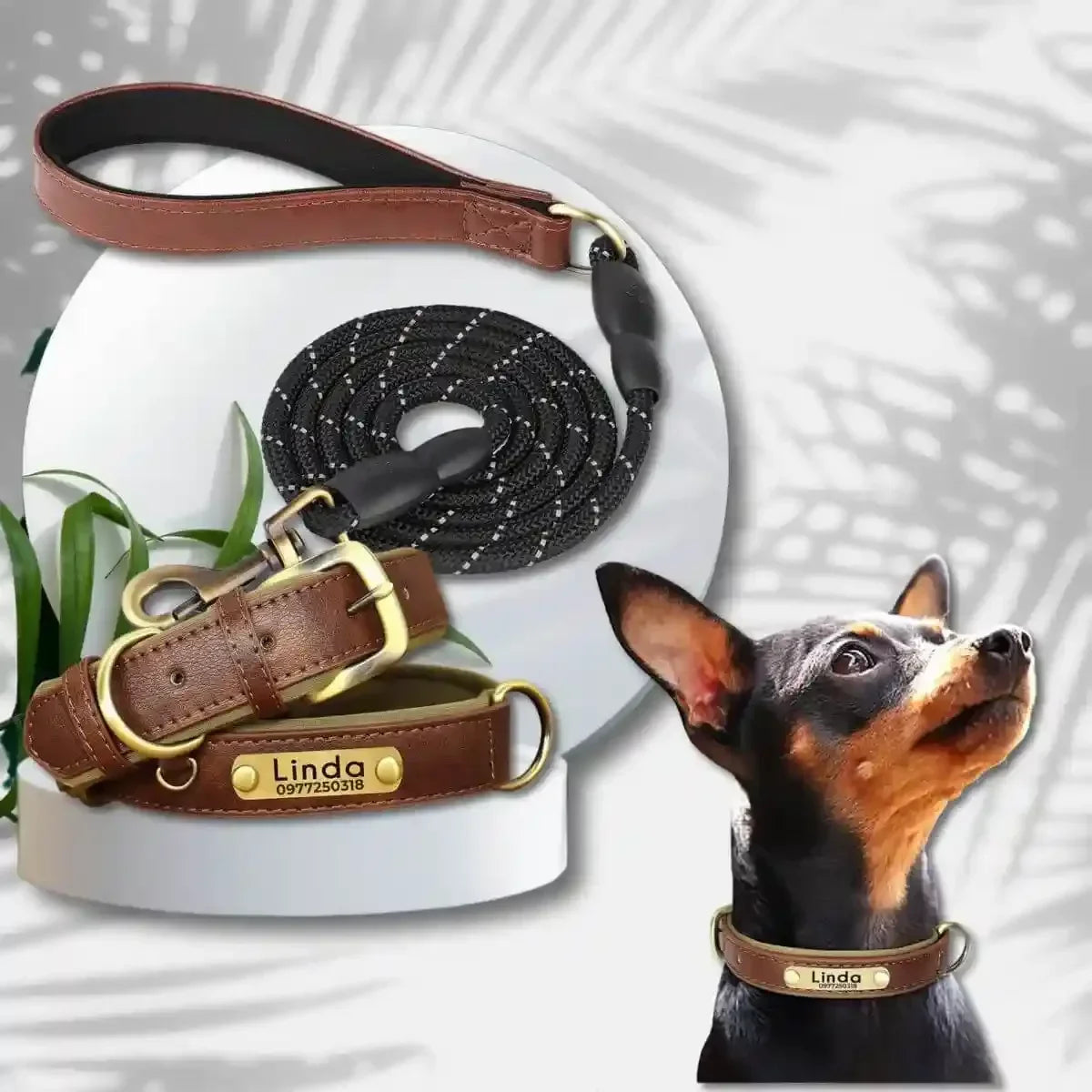 colliers pour chiens personnalisés marron