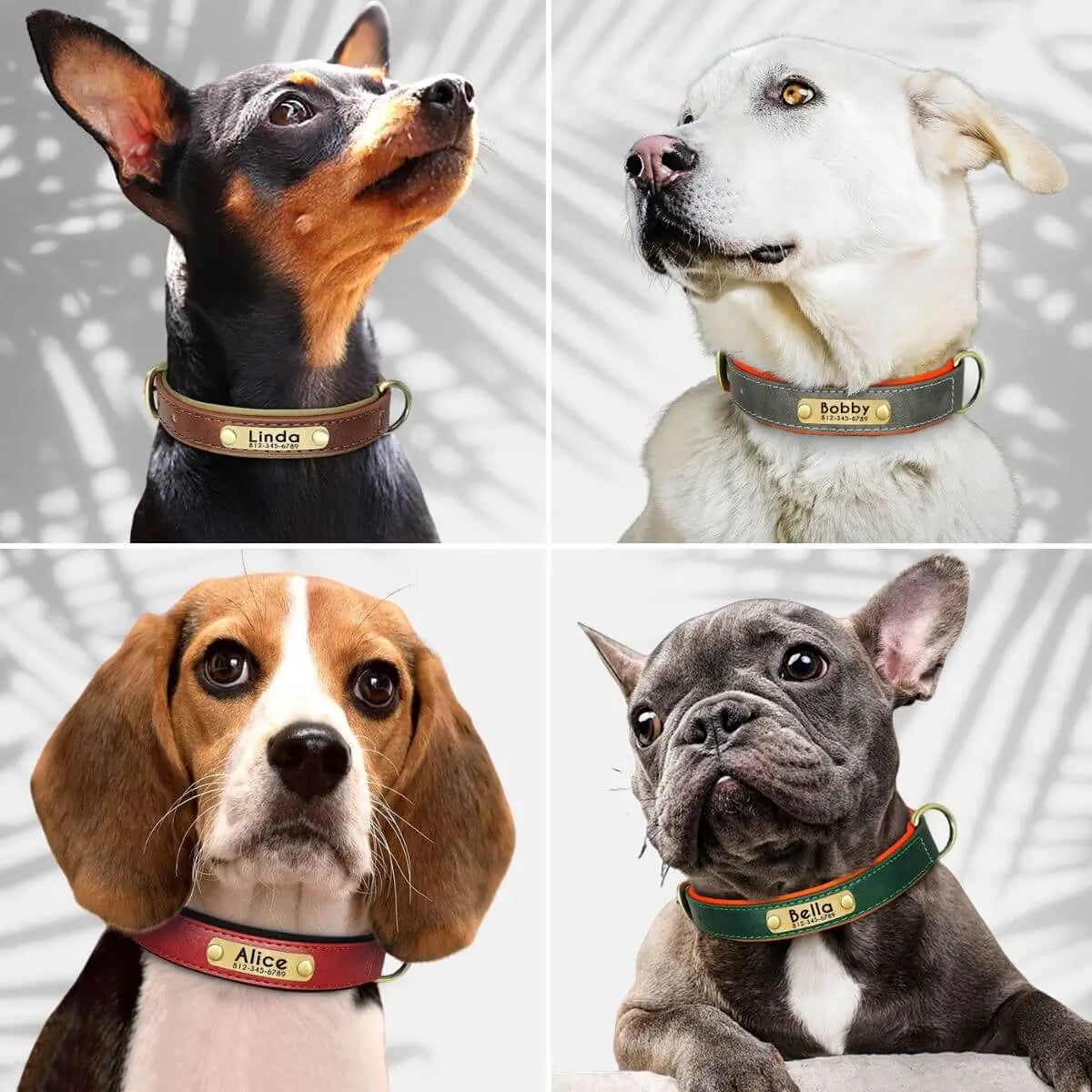 colliers pour chiens personnalisés modèles