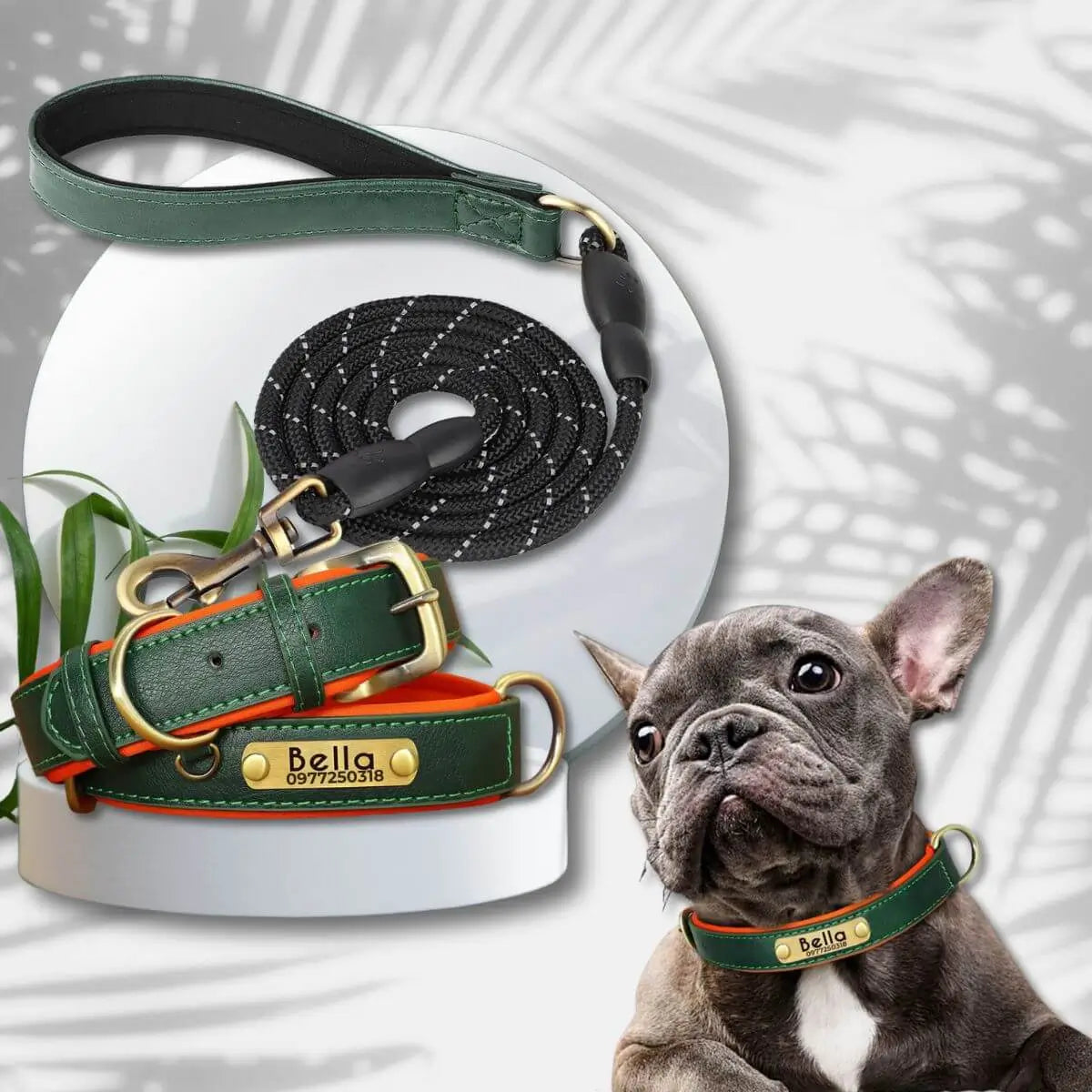 colliers pour chiens personnalisés vert