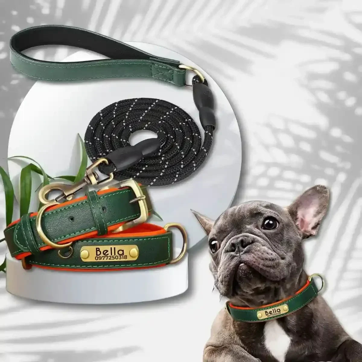 colliers pour chiens personnalisés vert