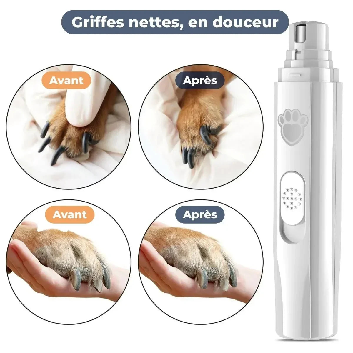 Résultat avant après avec la lime griffe chien ZenGriffe™