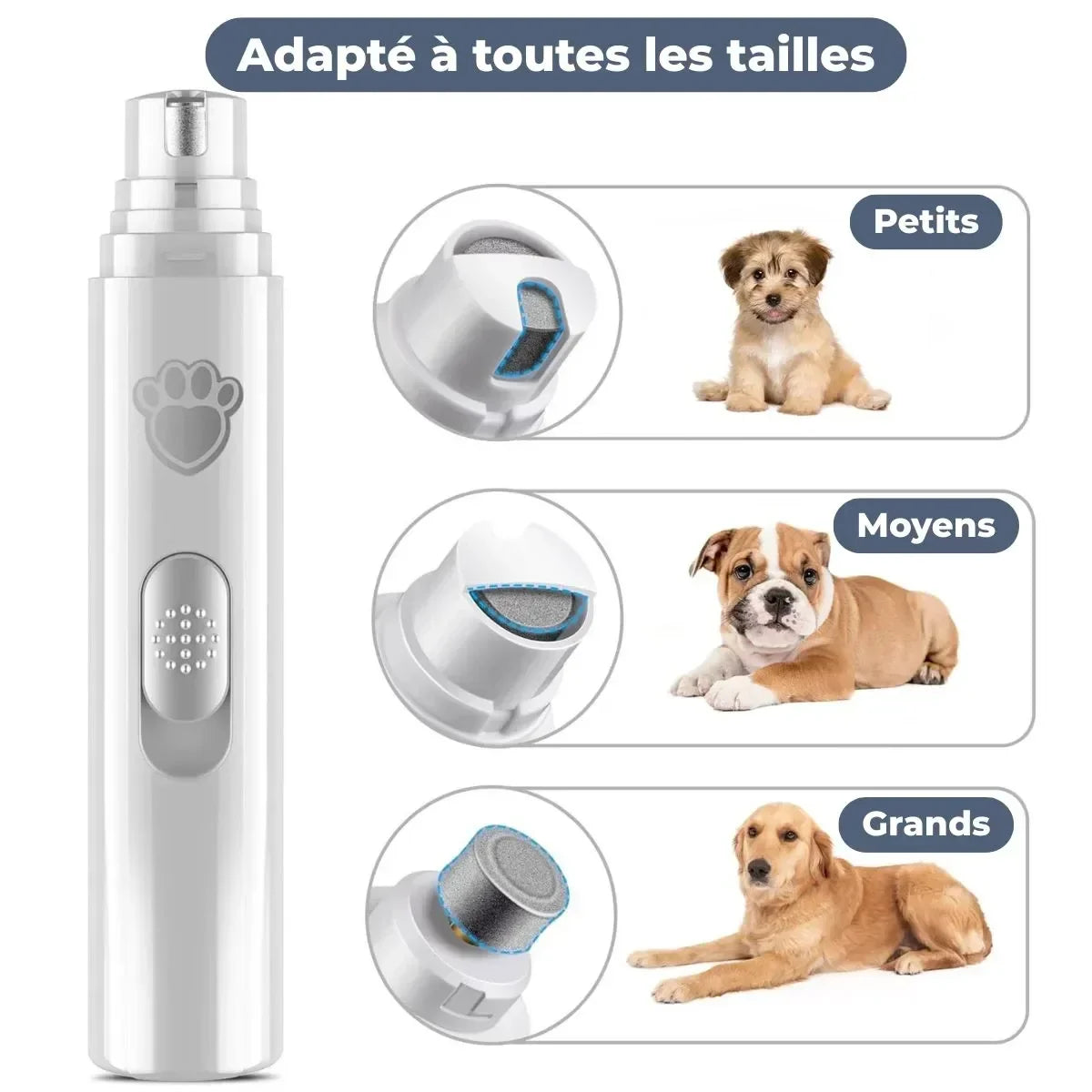 Coupe ongle pour chien adapté à toutes les tailles de griffes