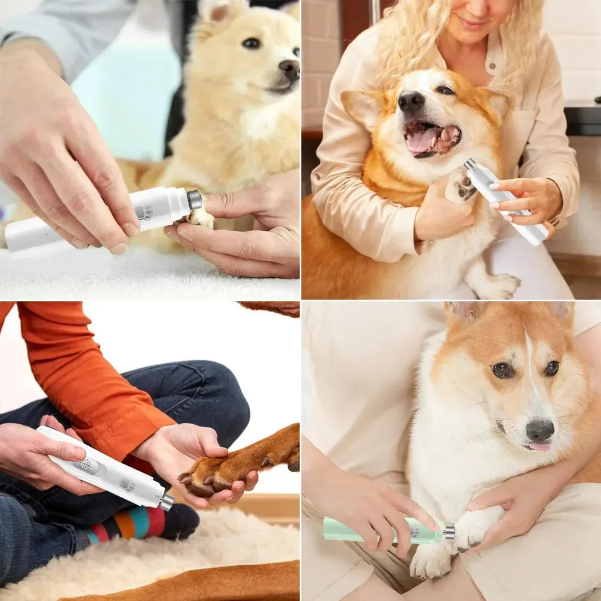 Coupe ongles pour chien utilisée en situation réelle sans stress