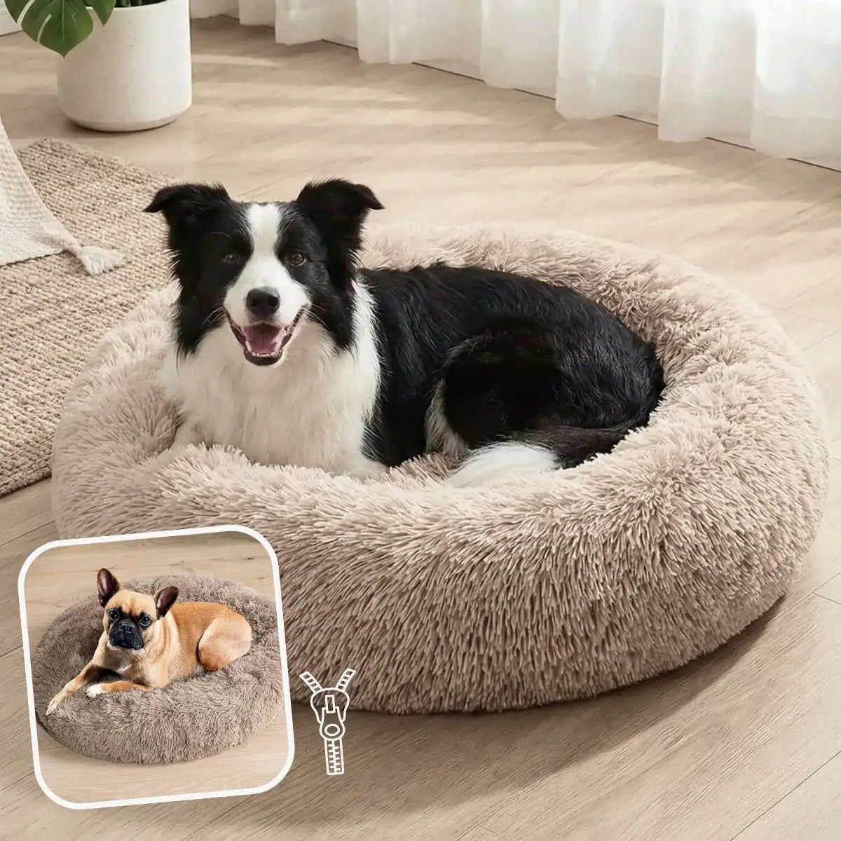 Coussin anti stress chien beige avec fermeture éclair