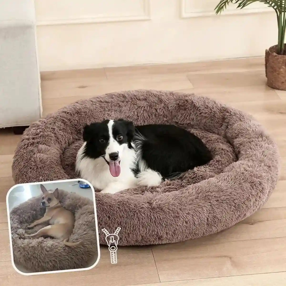 Coussin anti stress chien marron avec fermeture éclair