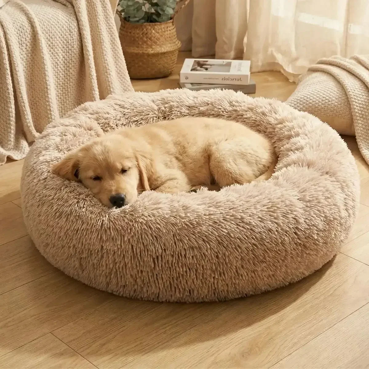 Coussin apaisant chien - Puppy Pacha