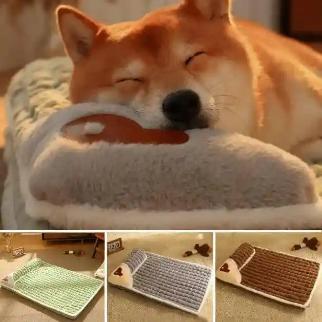 coussin pour chien couleurs