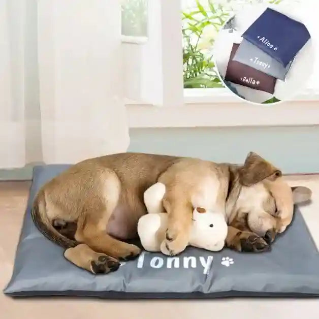 coussin-pour-chien-personnalisé-gris