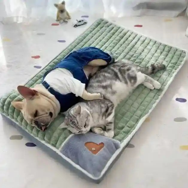 coussin pour chien et chat - couleur verte