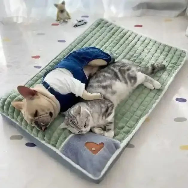 Coussin pour chien et chat Serenity™ - couleur verte