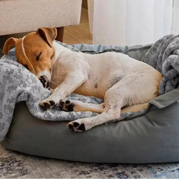 couverture-pour-chien-repos