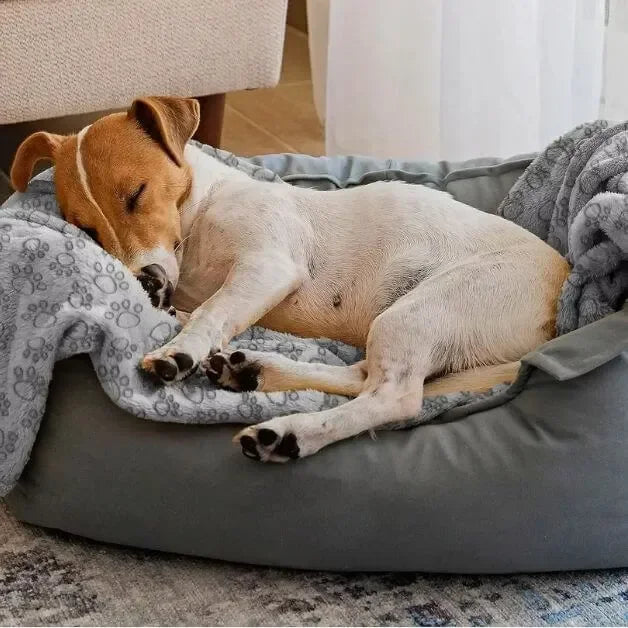 couverture-pour-chien-repos