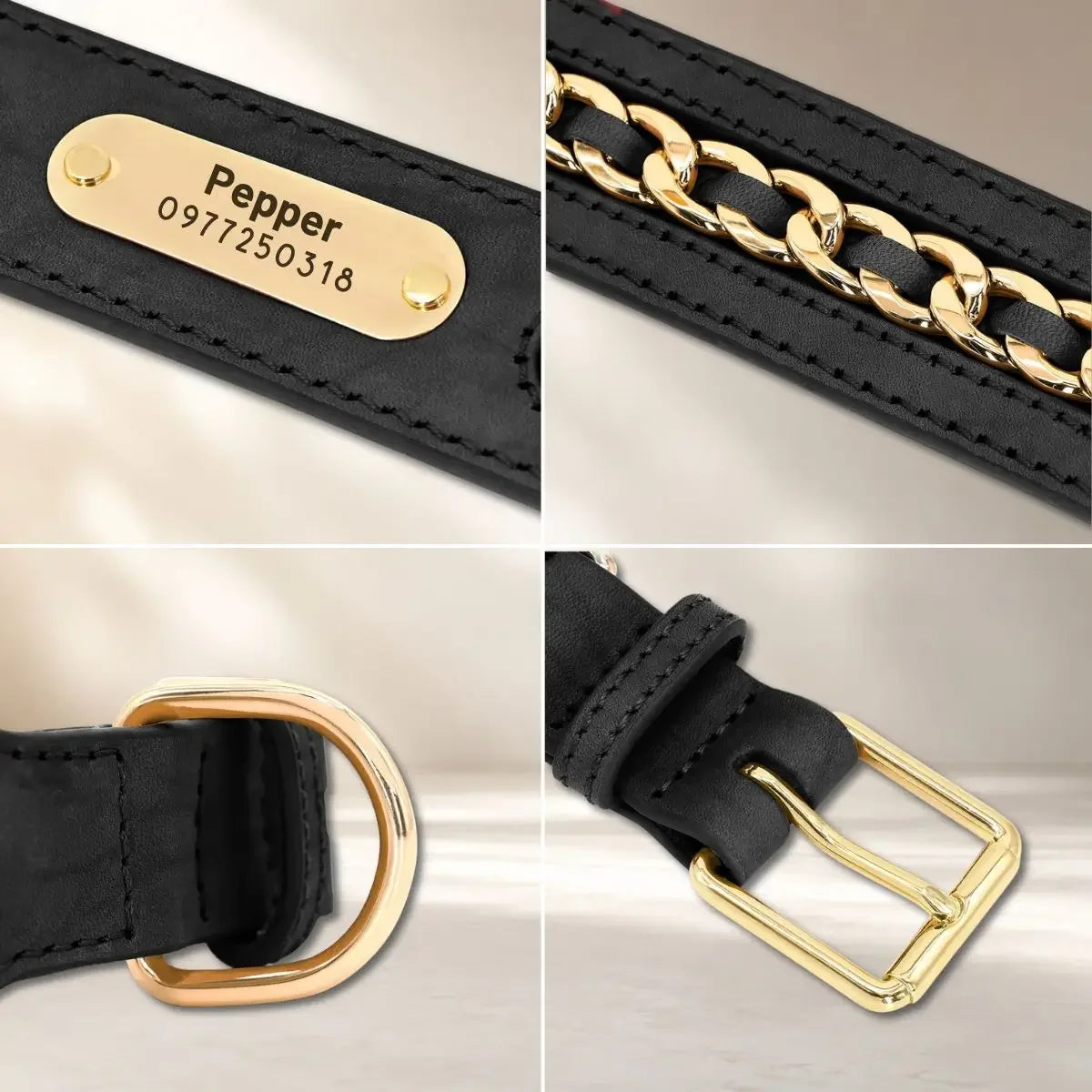 Détails de la plaque gravée, des maillons dorés, de l’anneau et de la boucle du collier pour chien OrGo™