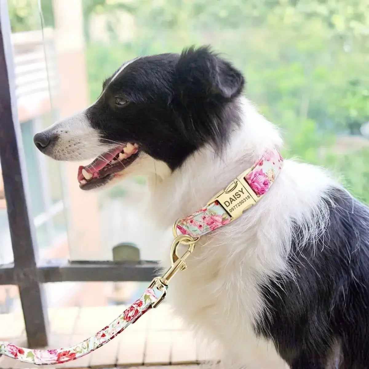 Chien portant le collier pour chien personnalisé Fiorella™ rose avec prénom et numéro de téléphone gravés sur la boucle et laisse florale assortie