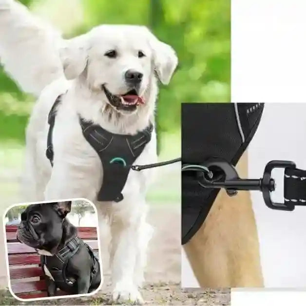 harnais-anti-traction