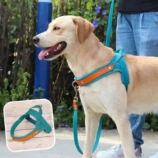 harnais-chien-anti-traction