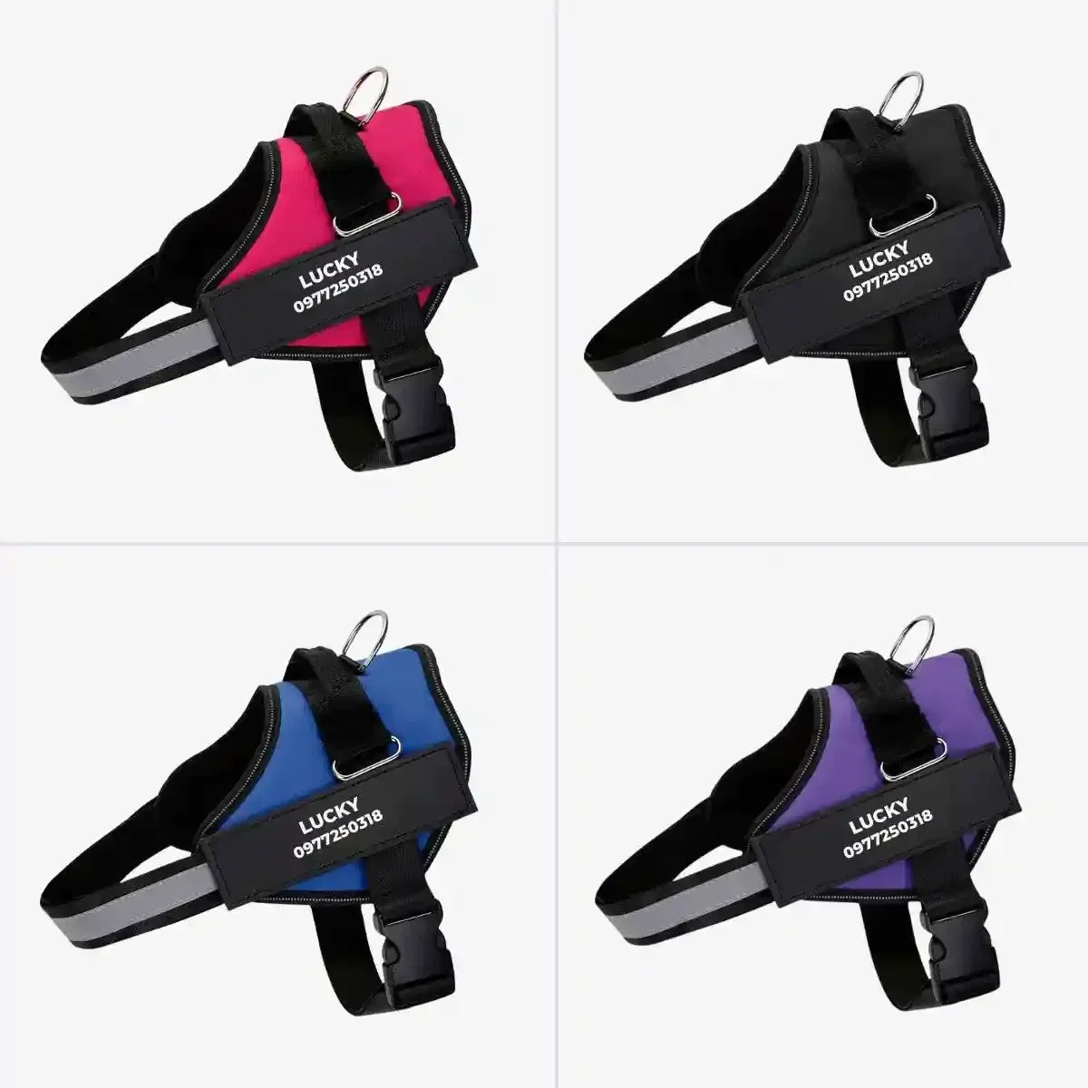 harnais chien personnalisé présenté en rouge, noir, bleu, violet