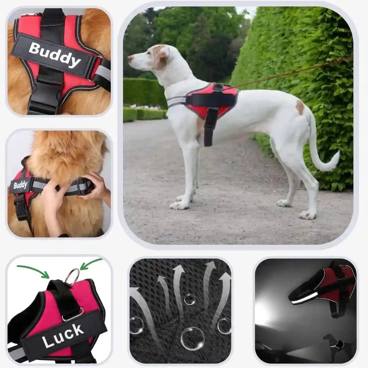 harnais chien personnalisé respirant, réfléchissant, attache et poignée