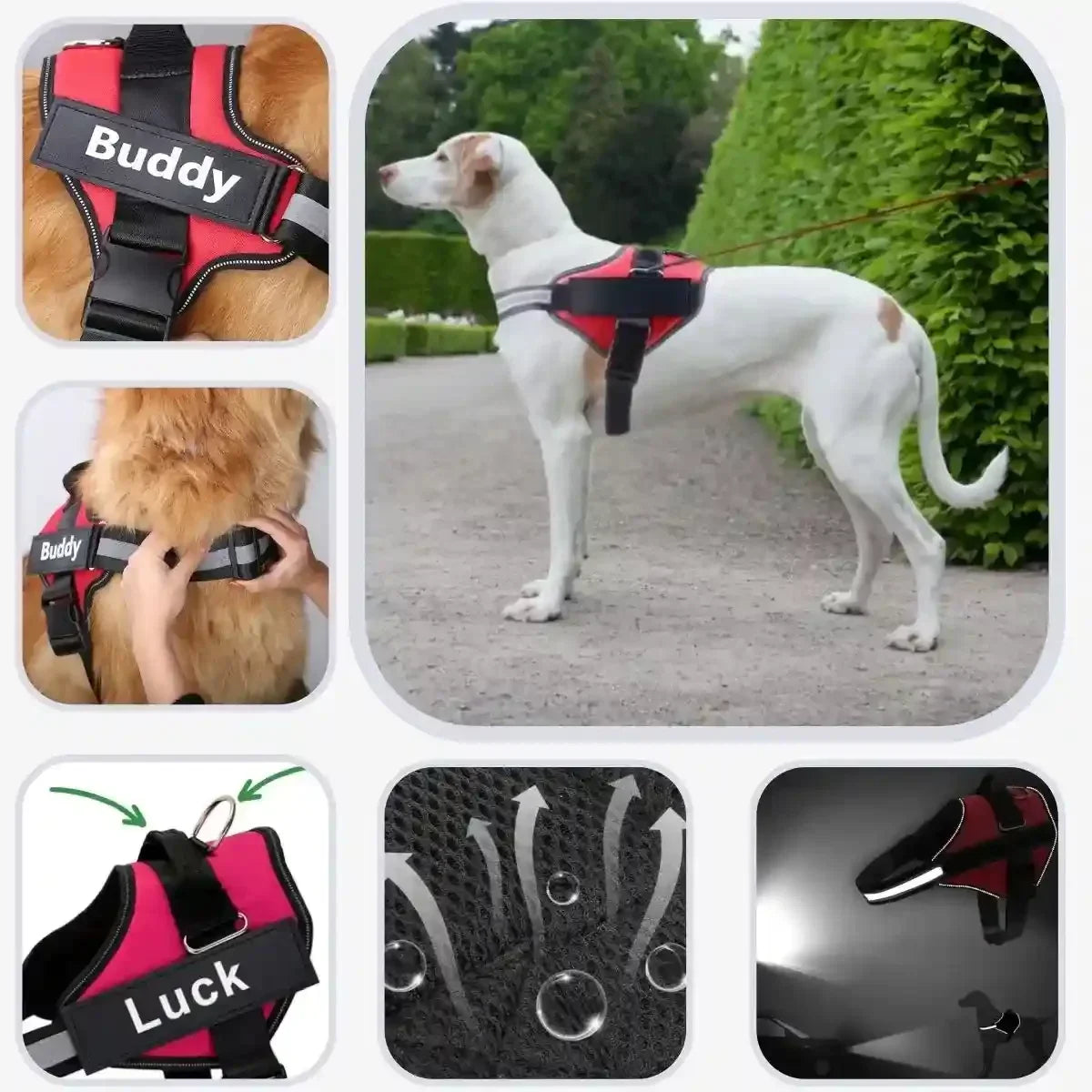 harnais chien personnalisé respirant, réfléchissant, attache et poignée
