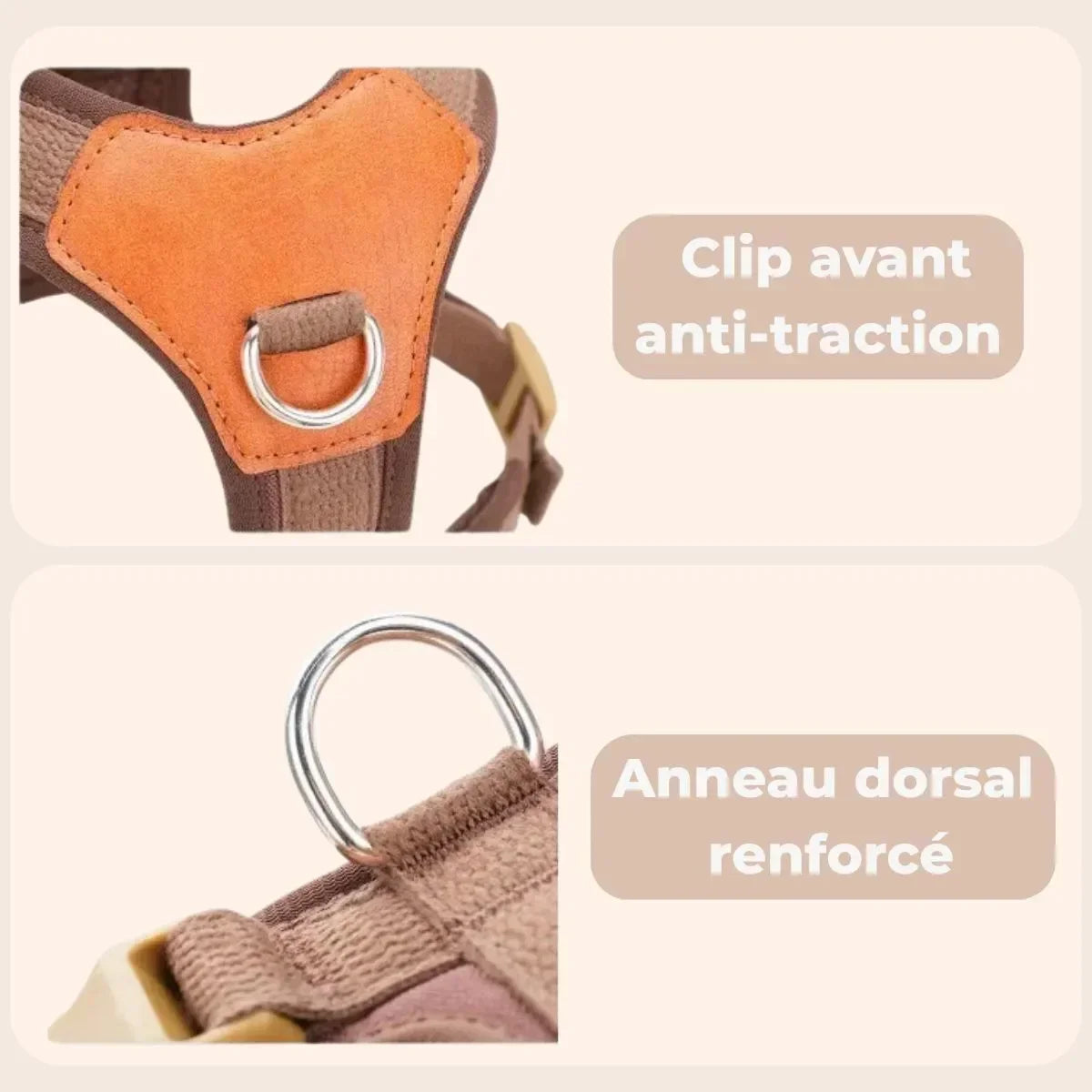 Anneau frontal du harnais confortable pour chien, idéal pour l'éducation anti-traction, et anneau dorsal pour les promenades plus sereine.