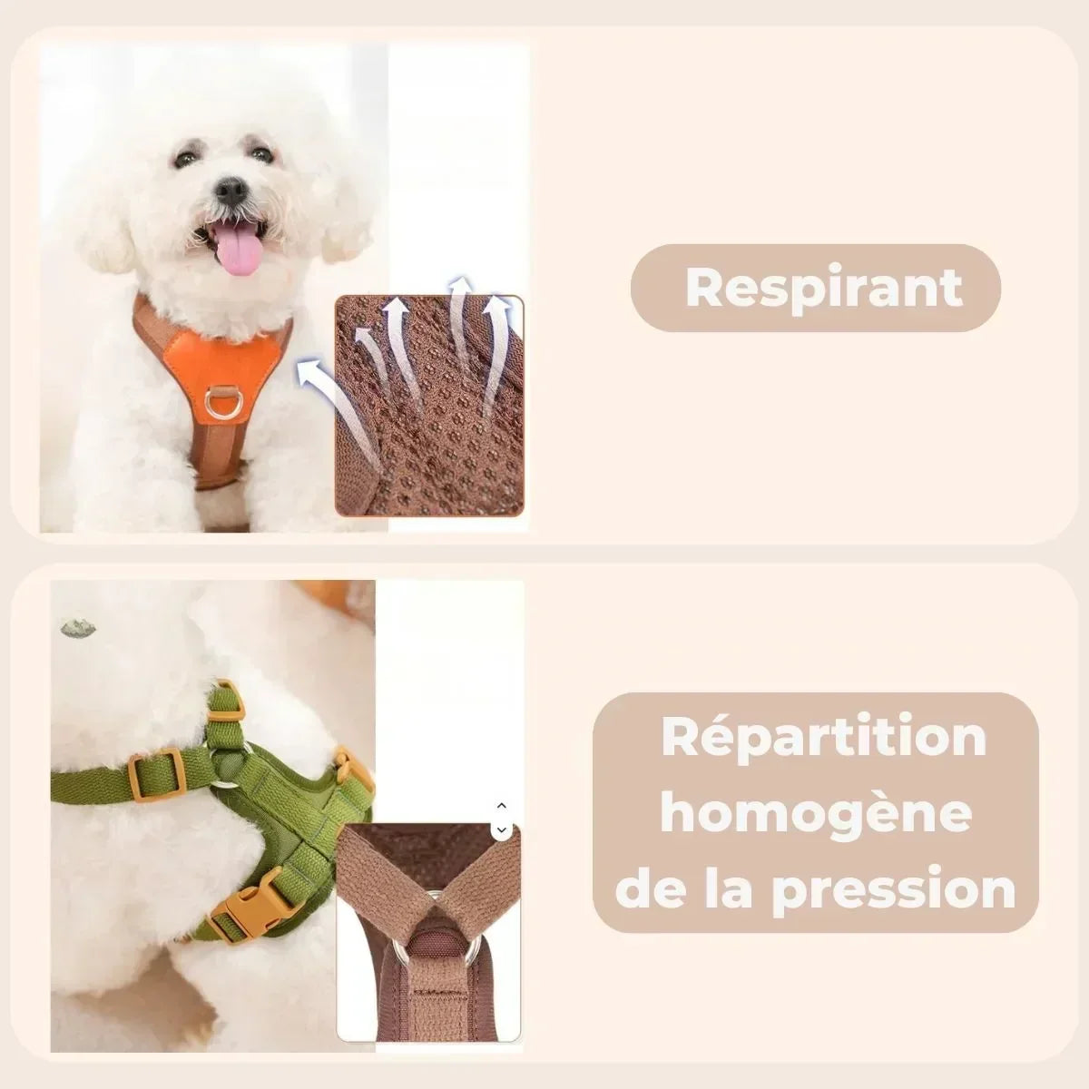 Harnais confortable pour chien en Y avec tissu respirant et répartition homogène de la pression