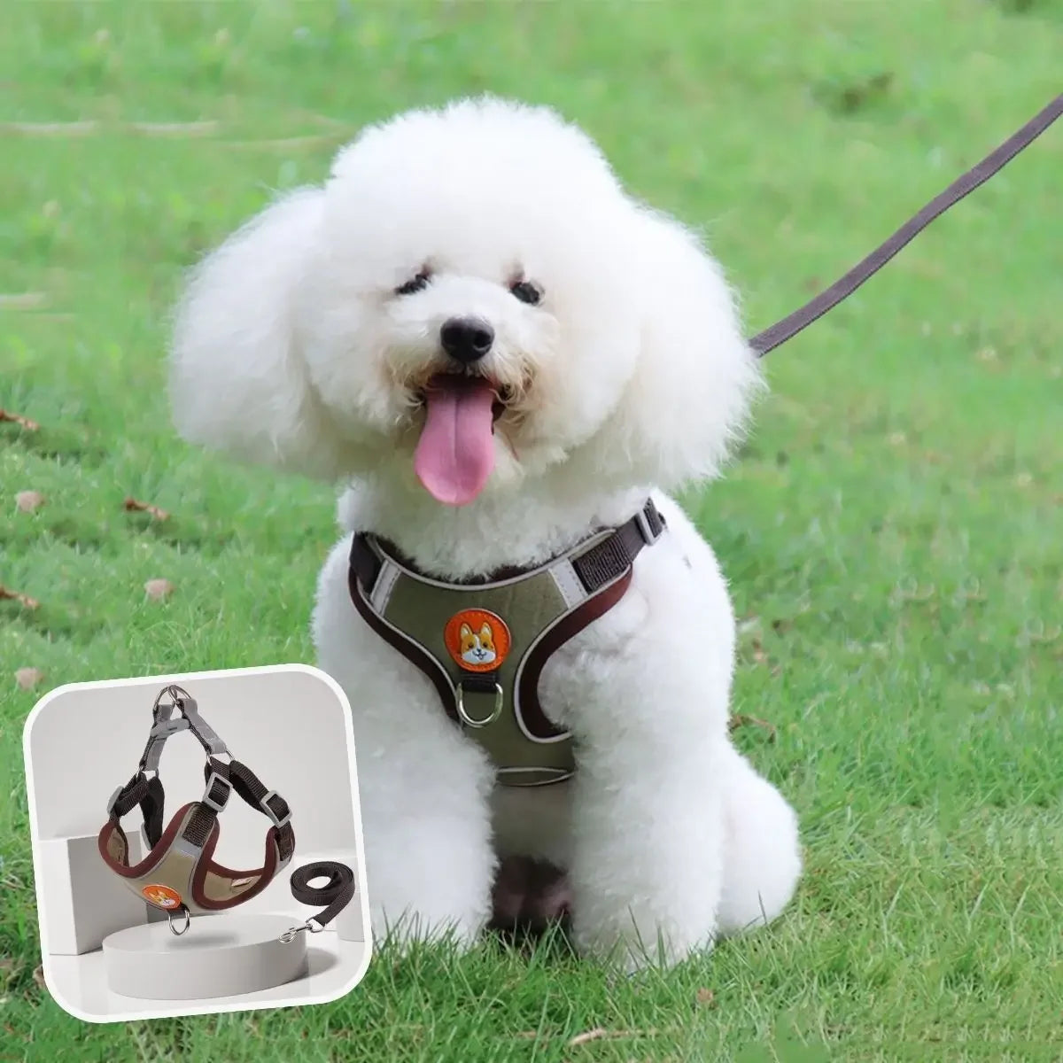 Harnais petit chien PupHarness™ marron porté par un chien de petite race