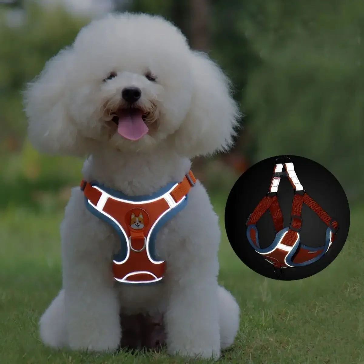 Harnais petit chien PupHarness™ avec bandes réfléchissantes pour la sécurité nocturne