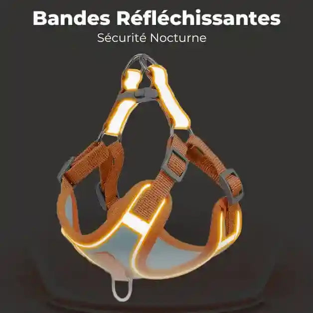 harnais-petit-chien-réfléchissant